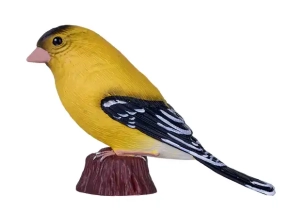 فنچ طلایی آمریکایی