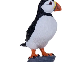 طوطی دریایی