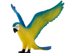 طوطی ماکائو آبی موژو