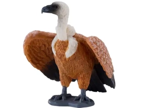 کرکس گریفون قهوهای موژو