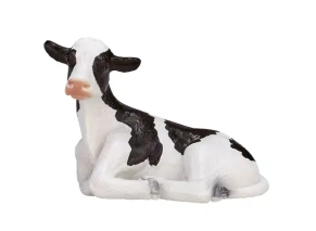 گوساله هلشتاین نشسته