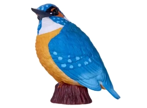 ماهی خورک موژو