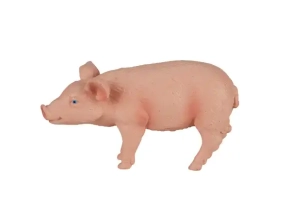 بچه خوک موژو