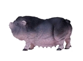 خوک شکم گنده موژو