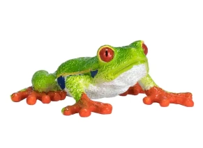 قورباغه چشم قرمز موژو