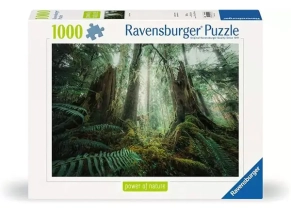 قیمت و خرید پازل رونزبرگر ساخت المان - فروشگاه پانزی تویز