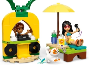 اکسسوری های Lego City Friends 42658