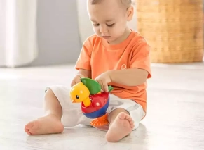خرید اینترنتی جوجه تولو Tolo مناسب نوزادان 6 ماهه به بالا