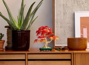 فروش انواع Lego Botanical Japanese Red Maple Bonsai Tree اورجینال