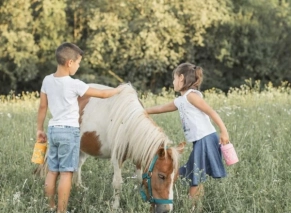 خرید فلاسک ضد زنگ و ضد نشتی اورجینال ایتالیایی