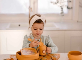 مشخصات Sassi Lunch Box - Chompy the Lion 700ml