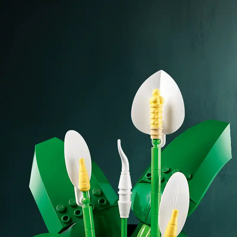 عکس LEGO Botanicals Peace Lily