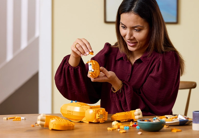عکس در حال ساختن Lego Disney the lion king