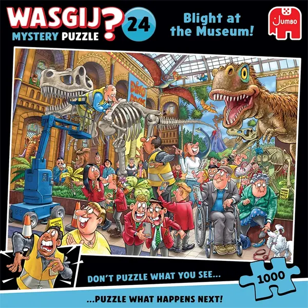 تصویر جعبه پازل Wasgij Mystery 24