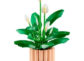 خرید آنلاین LEGO Botanicals 11504