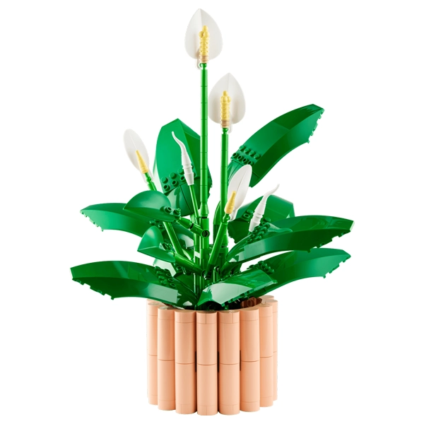 خرید آنلاین LEGO Botanicals 11504