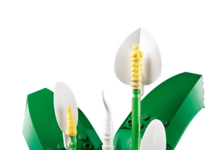 قیمت LEGO Botanicals 11504
