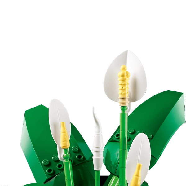 قیمت LEGO Botanicals 11504