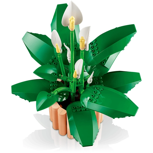 قیمت لگو Peace Lily