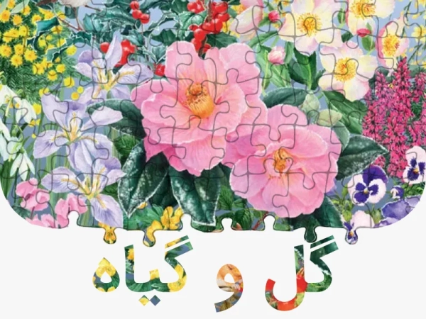 خرید پازل گل و گیاه اصل پانزی تویز
